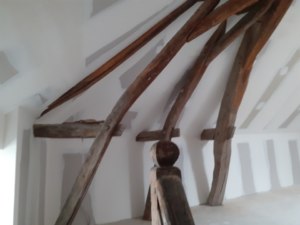 Img1